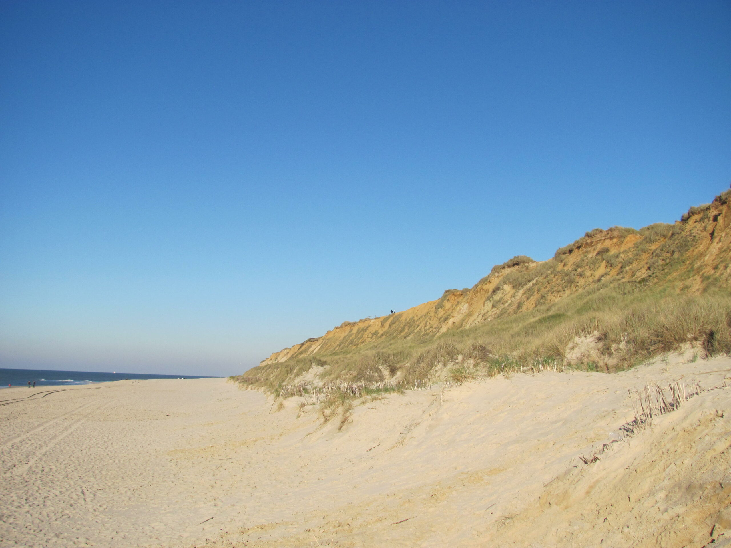 Sylt, Scherzer B Tuba 009