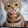 WhatsApp Bild 2025-06-22 um 18.43.46_94c9b4d4